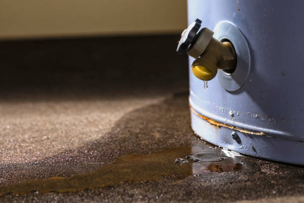 Best Ceiling water damage repair  in Lake Stickney, WA