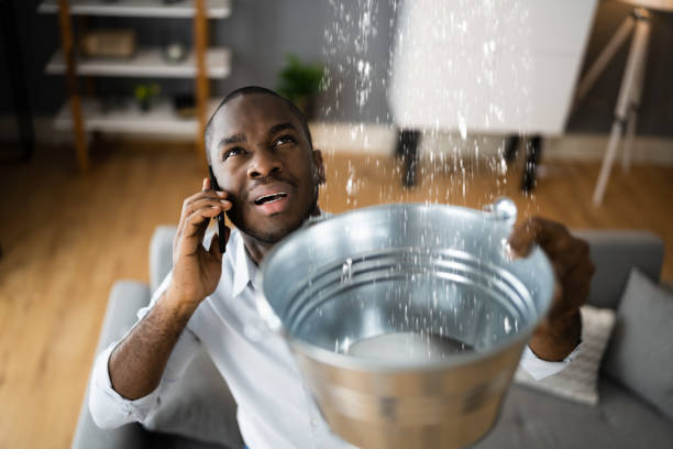 Best Water damage restoration near me  in Lake Stickney, WA