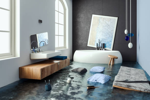 Best Residential water damage restoration  in Lake Stickney, WA