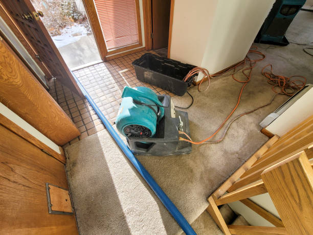 Best Professional water damage repair  in Lake Stickney, WA