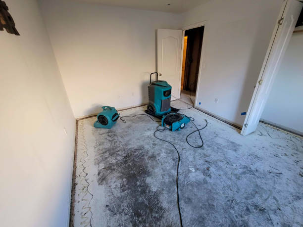 Best Fire Damage Restoration  in Lake Stickney, WA