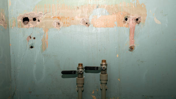 Best Water damage cleanup near me  in Lake Stickney, WA