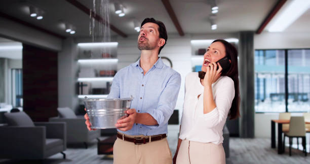 Best Local water damage restoration  in Lake Stickney, WA