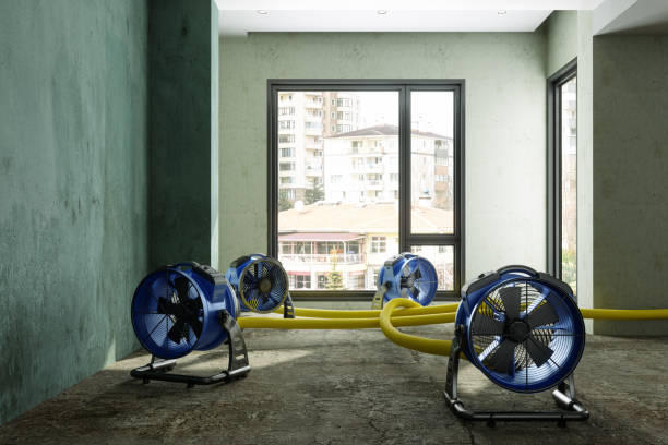 Sewage cleanup and water damage restoration in Lake Stickney, WA