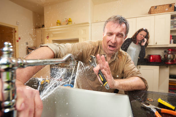 Best Sewage cleanup and water damage restoration  in Lake Stickney, WA